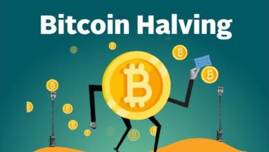 What Is Bitcoin Halving