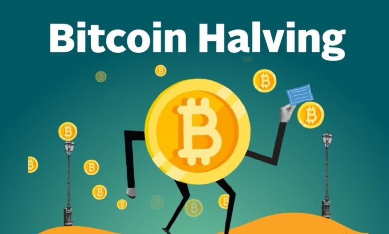 What Is Bitcoin Halving