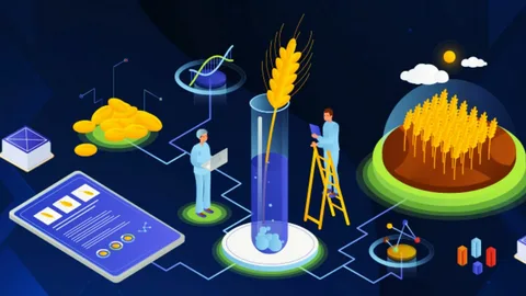 Future Trends in DeFi Yield Farming