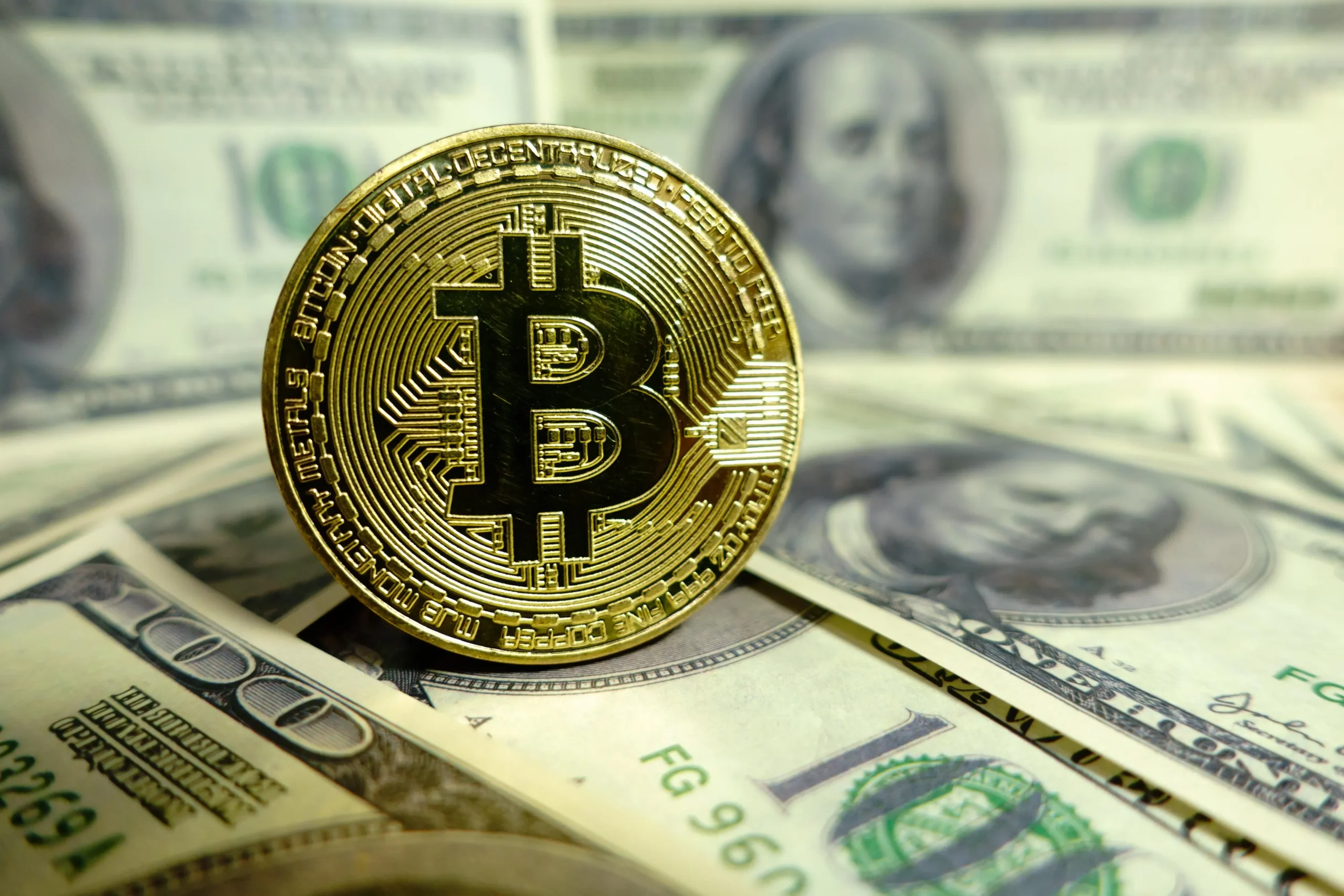 Large Cap Cryptocurrencies