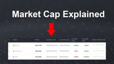 Market Cap Categories Explained