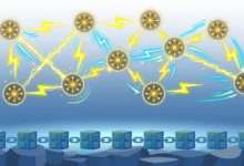 Bitcoin Lightning Network